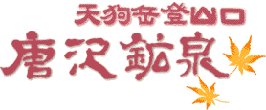 唐沢鉱泉ロゴ