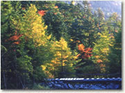 紅葉の八ヶ岳写真