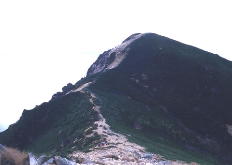 Vx
