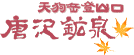 唐沢鉱泉