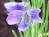 bNK[f