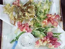 山菜お天ぷら
